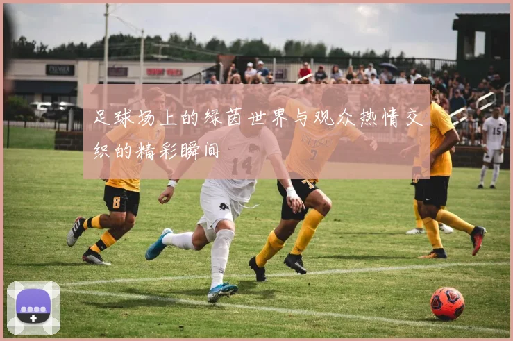 足球场上的绿茵世界与观众热情交织的精彩瞬间