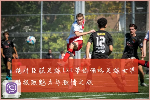 绝对臣服足球txt带你领略足球世界的极致魅力与激情之旅