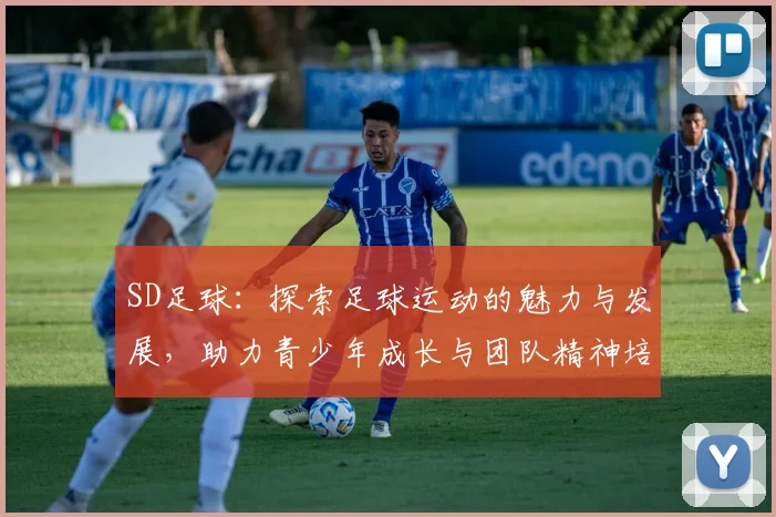 SD足球：探索足球运动的魅力与发展，助力青少年成长与团队精神培养