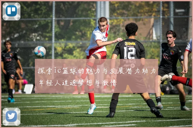 探索ic篮球的魅力与发展潜力助力年轻人追逐梦想与激情